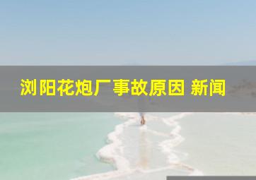 浏阳花炮厂事故原因 新闻